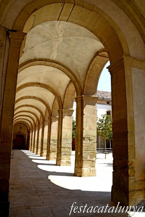 Cervera - Universitat - Façanes i patis interiors