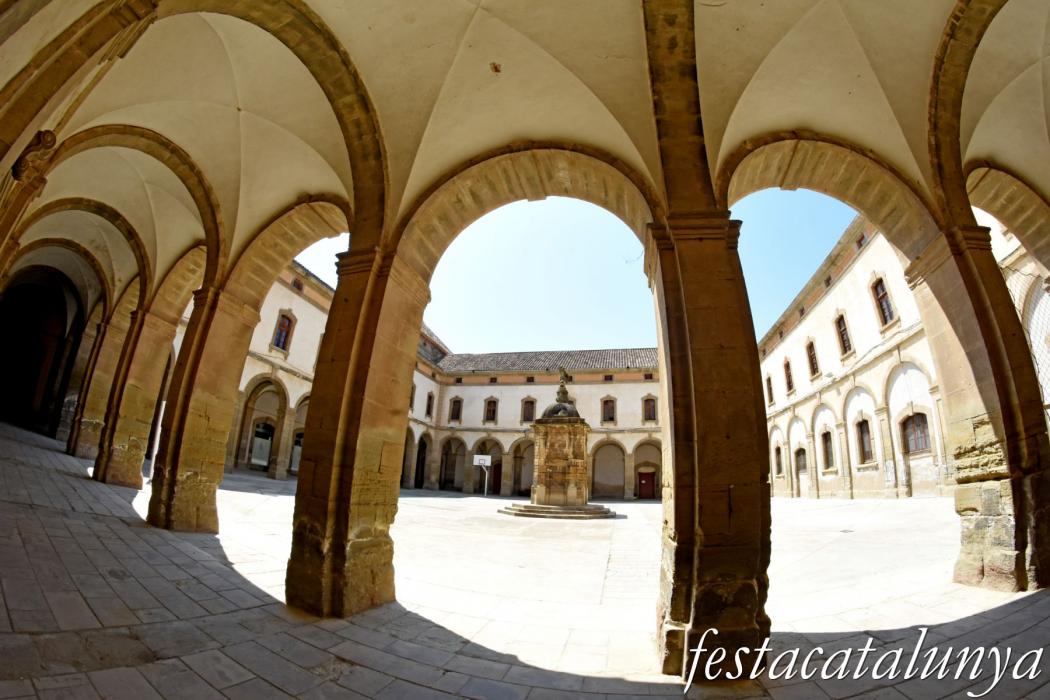 Cervera - Universitat - Façanes i patis interiors