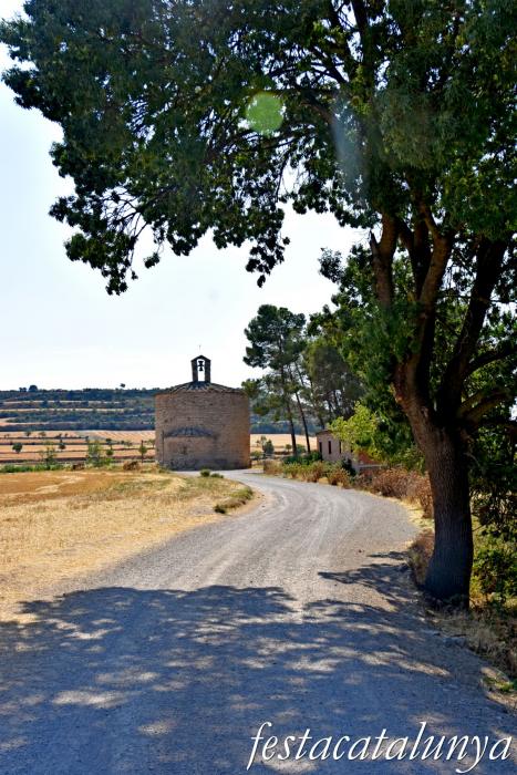Cervera - Sant Pere el Gros