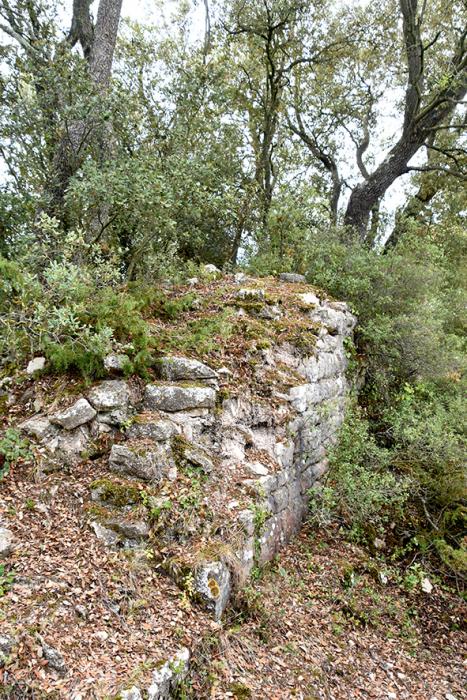 Monestir i granja medieval d'Ancosa i pou
