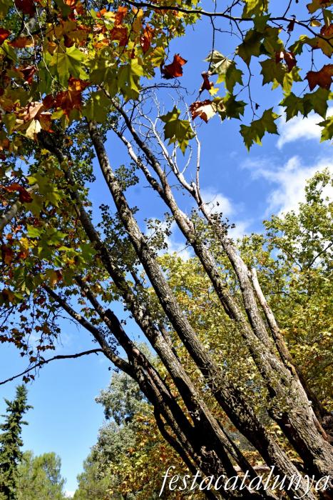 La Llacuna - Àlbers de la Font Cuitora