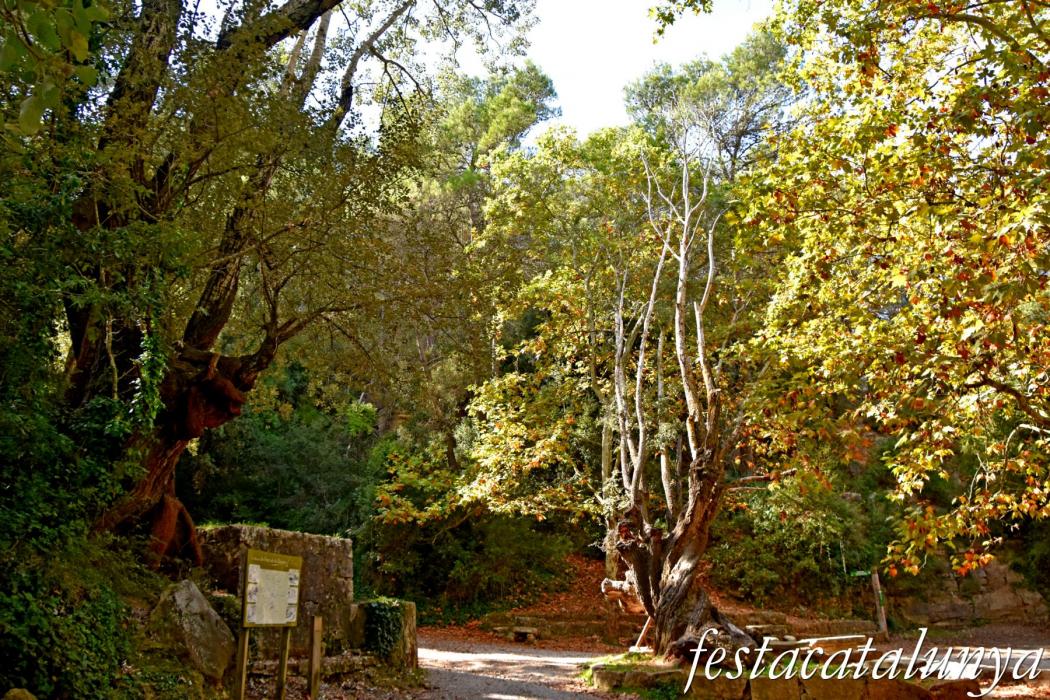 La Llacuna - Àlbers de la Font Cuitora