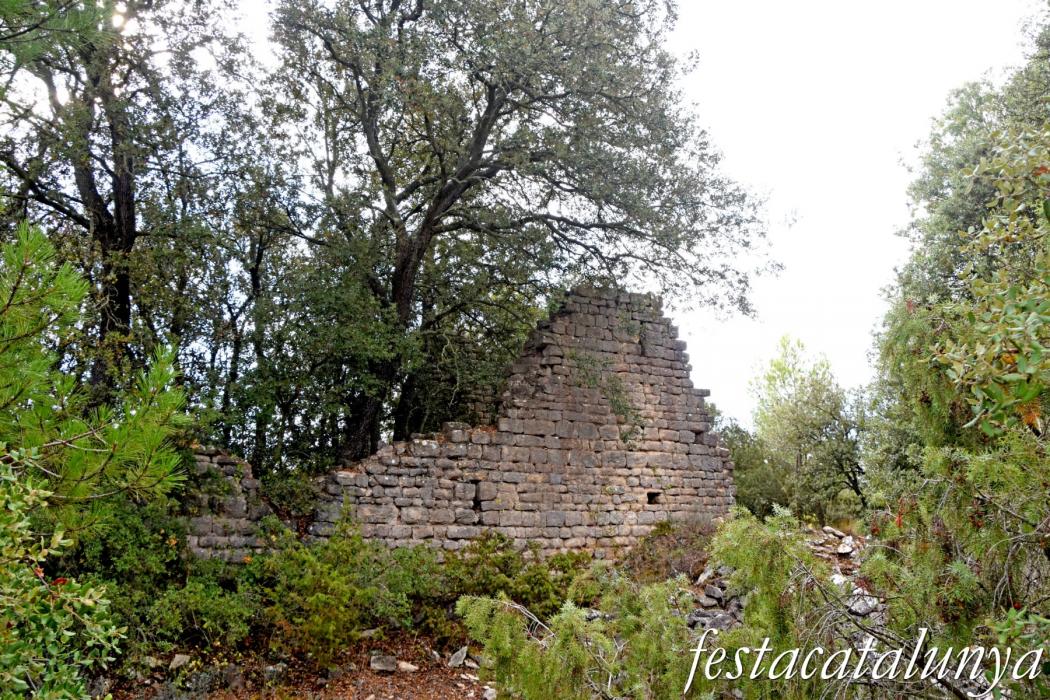 La Llacuna - Monestir i granja medieval d'Ancosa i pou