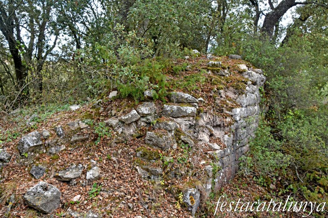 La Llacuna - Monestir i granja medieval d'Ancosa i pou