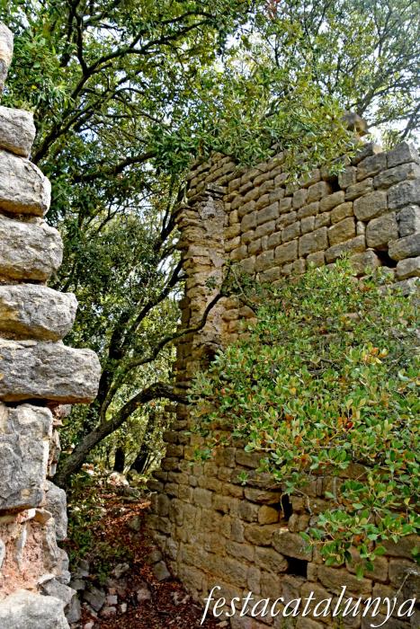 La Llacuna - Monestir i granja medieval d'Ancosa i pou