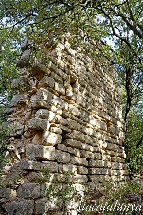 La Llacuna - Monestir i granja medieval d'Ancosa i pou