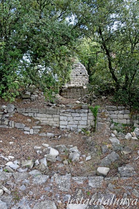 La Llacuna - Monestir i granja medieval d'Ancosa i pou