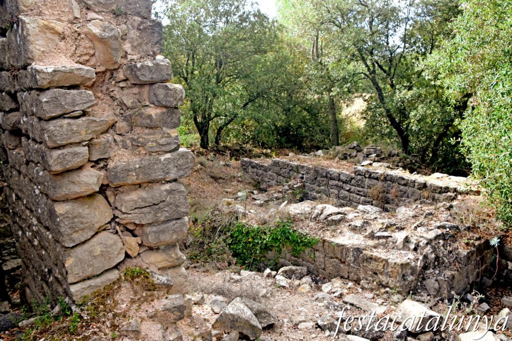 La Llacuna - Monestir i granja medieval d'Ancosa i pou