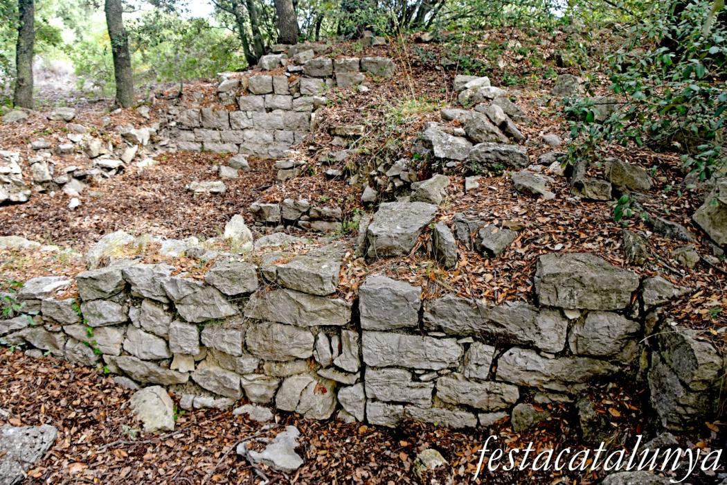 La Llacuna - Monestir i granja medieval d'Ancosa i pou
