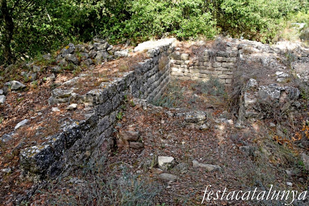 La Llacuna - Monestir i granja medieval d'Ancosa i pou