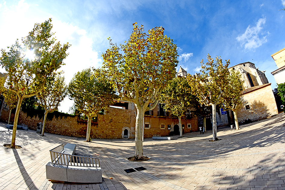 Palau Reial o palau el Mirador a Torroella de Montgrí-L'Estartit