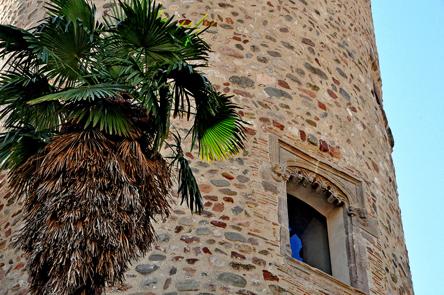 La Torre del Palau de Terrassa