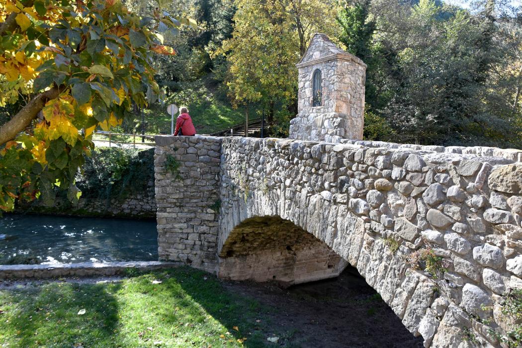 Pont de la Vila o del Molí a Bagà