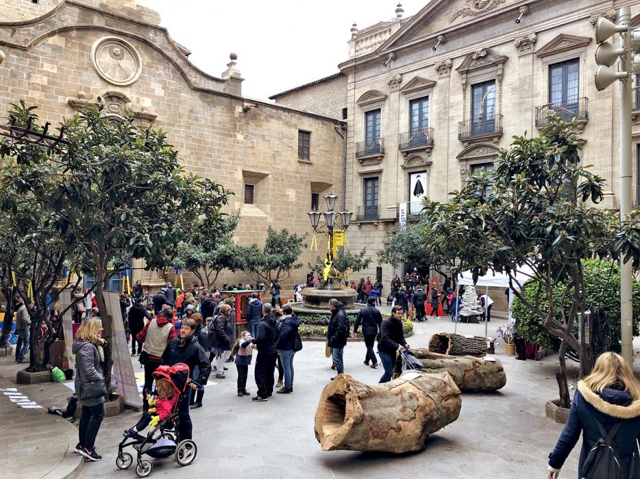 Fira del Tió a Solsona