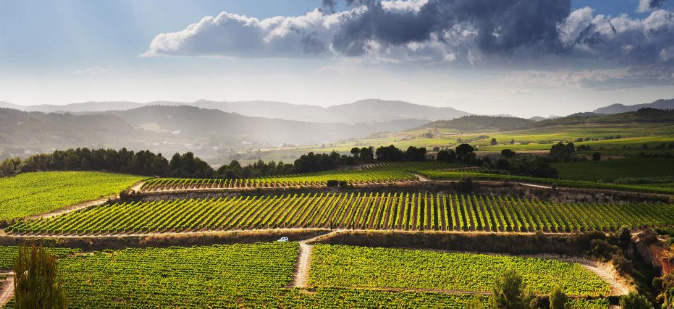 Enoturisme Penedès