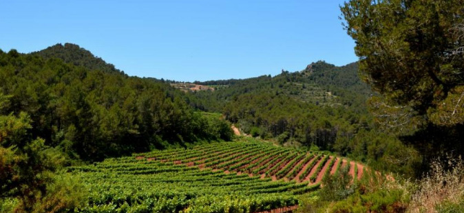 Enoturisme Penedès