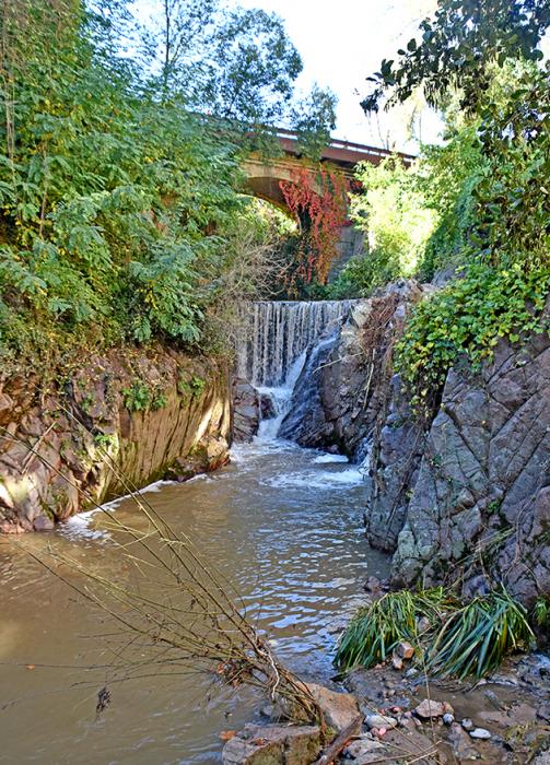 L'Arbúcies de Rusiñol ***