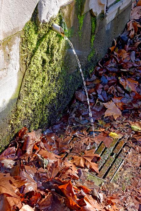 Font de Montserrat de Campins