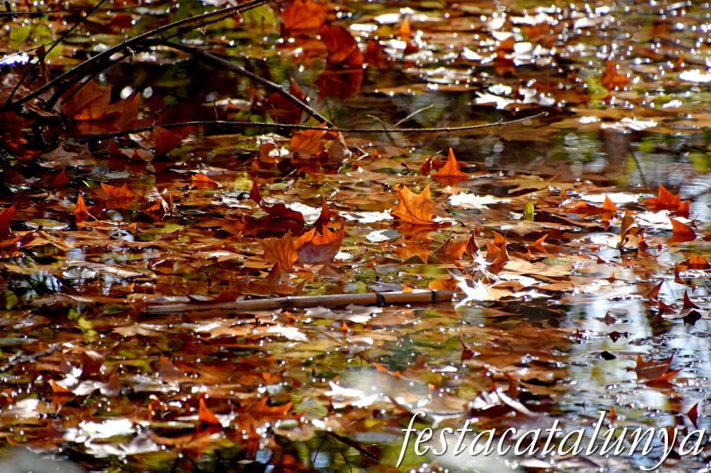 Rubió, visita autoguiada amb QR