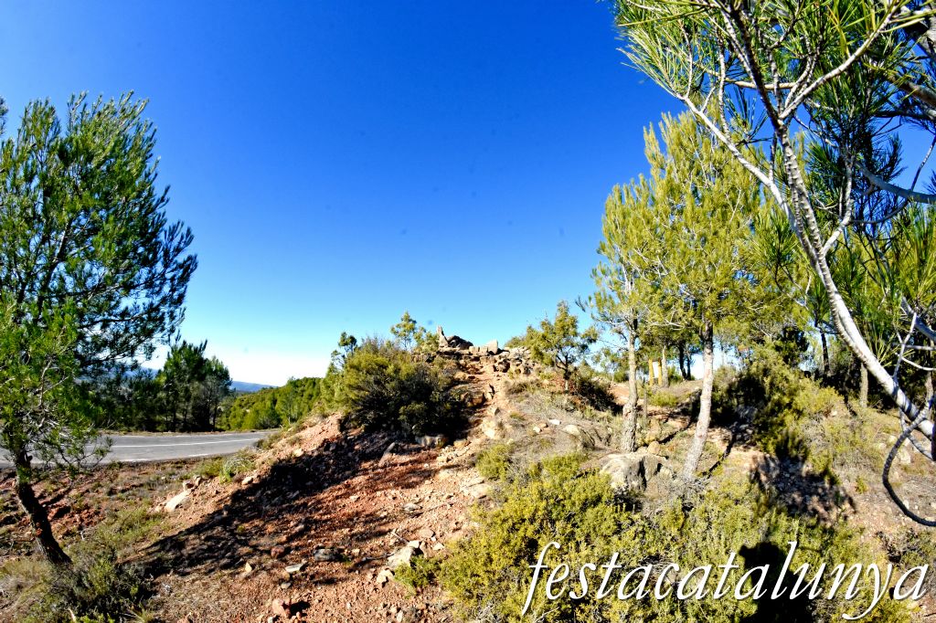 Rubió - Sepulcre megalític de les Malloles o de Pedrafita