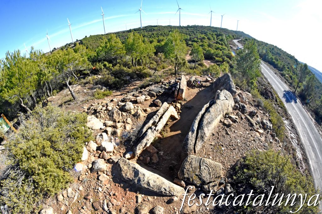 Rubió - Sepulcre megalític de les Malloles o de Pedrafita