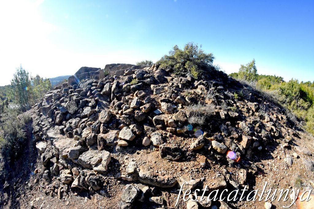 Rubió - Sepulcre megalític de les Malloles o de Pedrafita