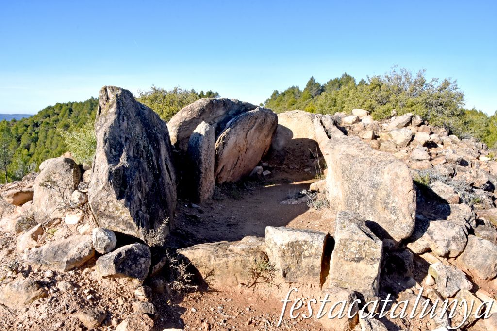 Rubió - Sepulcre megalític de les Malloles o de Pedrafita