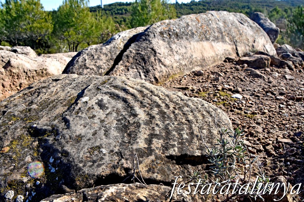 Rubió - Sepulcre megalític de les Malloles o de Pedrafita