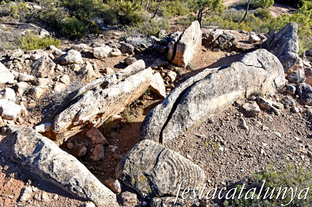 Rubió - Sepulcre megalític de les Malloles o de Pedrafita