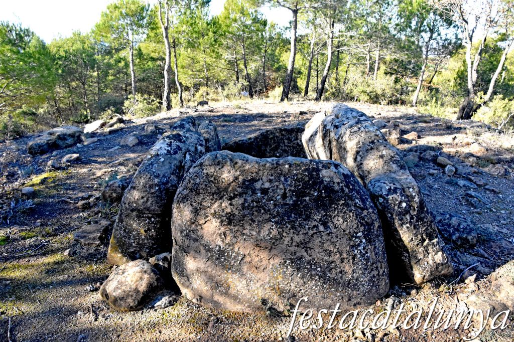 Rubió - Sepulcre megalític dels Tres Reis