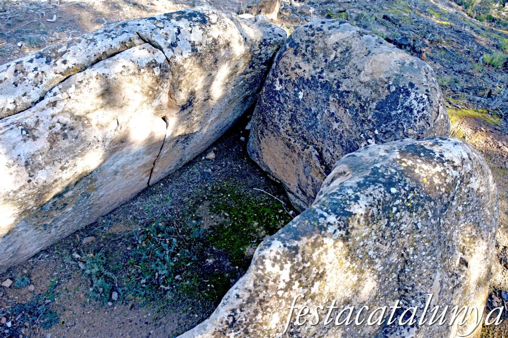 Rubió - Sepulcre megalític dels Tres Reis