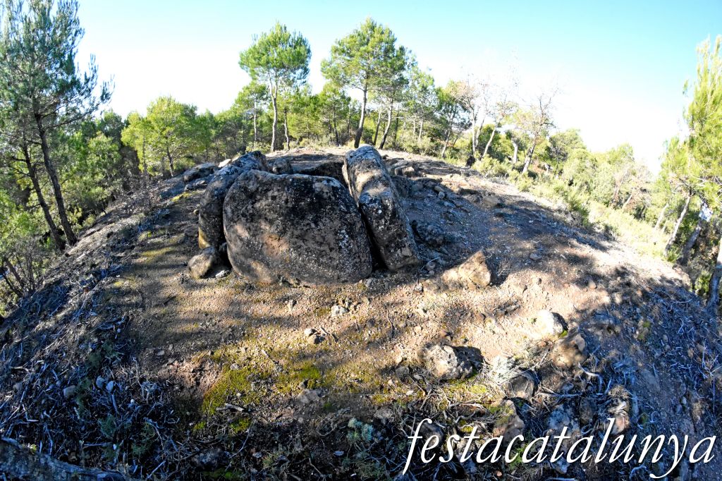 Rubió - Sepulcre megalític dels Tres Reis