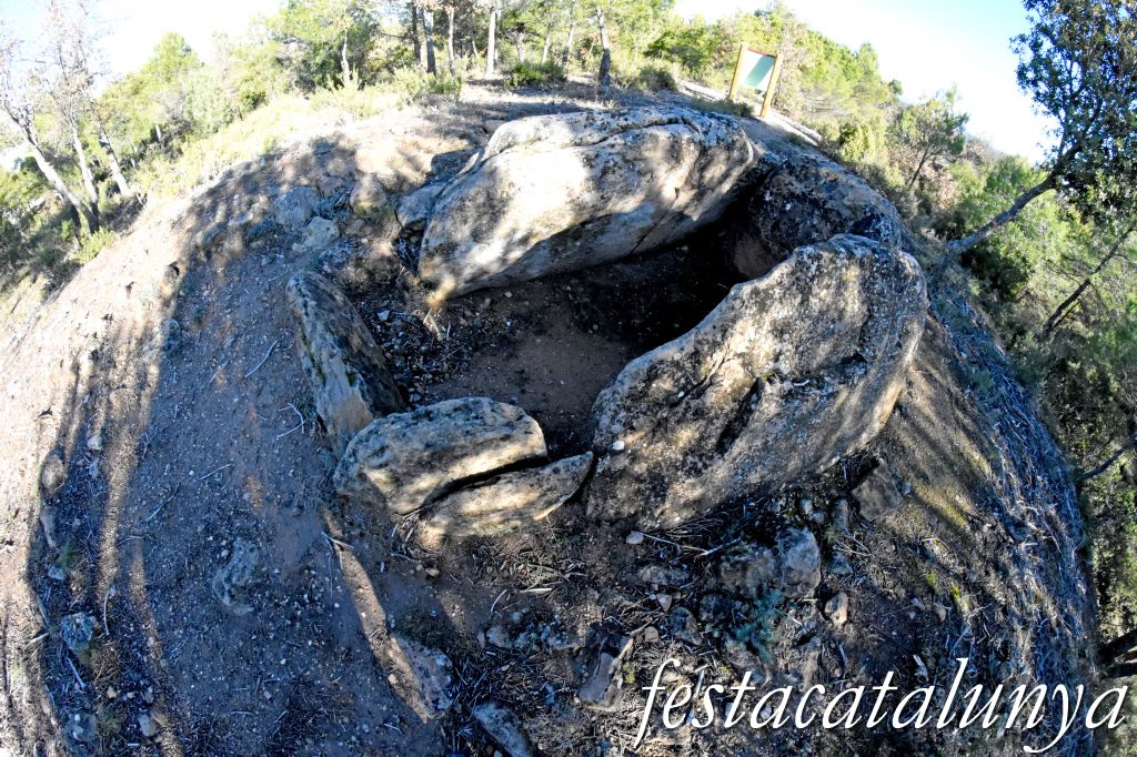 Rubió - Sepulcre megalític dels Tres Reis