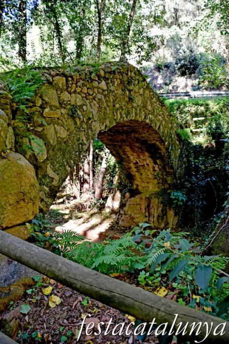 Arbúcies - L'Arbúcies de Rusiñol - El Pont de les Pipes