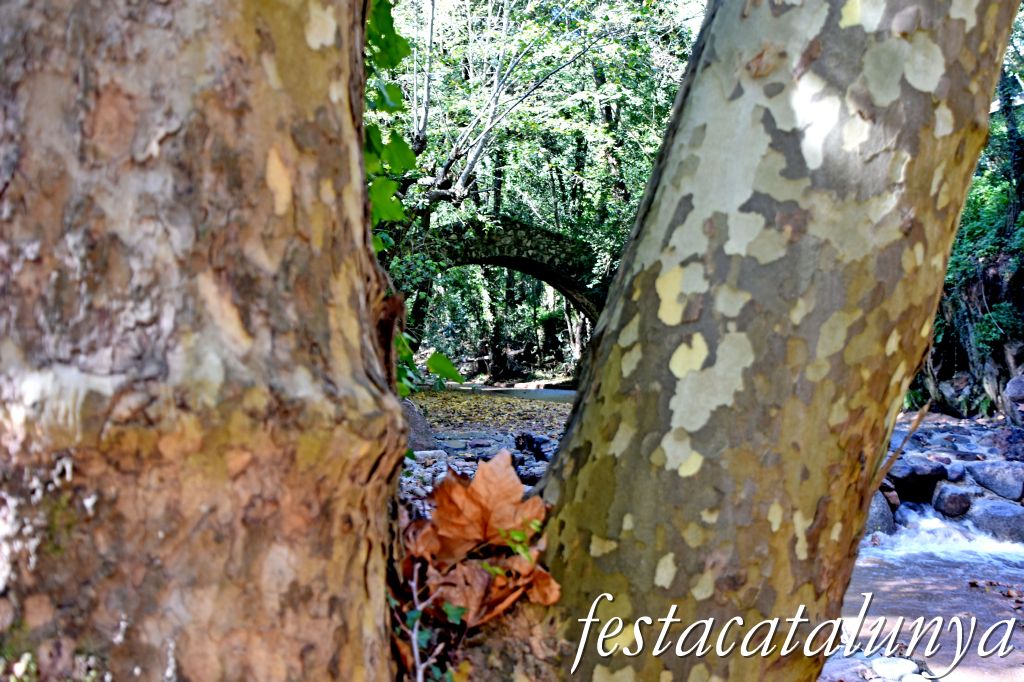 Arbúcies - L'Arbúcies de Rusiñol - El Pont de les Pipes