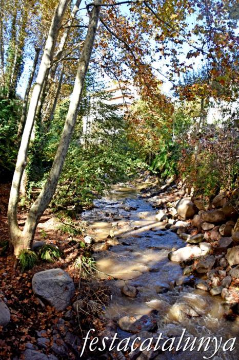 Arbúcies - L'Arbúcies de Rusiñol - La Riera d'Arbúcies