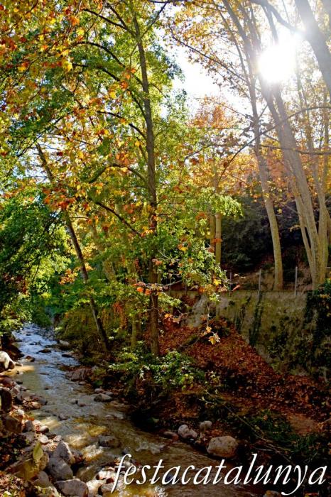 Arbúcies - L'Arbúcies de Rusiñol - La Riera d'Arbúcies