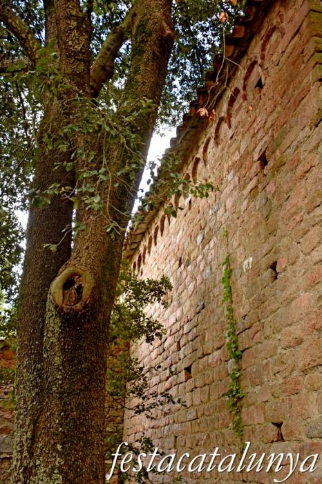 Arbúcies - Sant Cristòfol de Cerdans