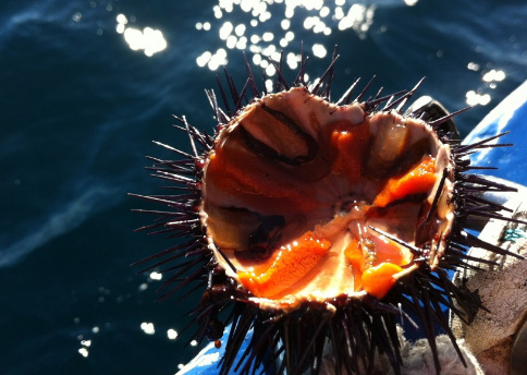 La Garoinada de Palafrugell