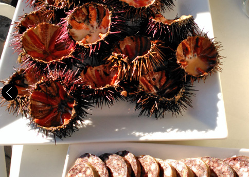 La Garoinada de Palafrugell