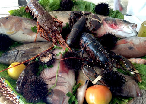 La Garoinada de Palafrugell