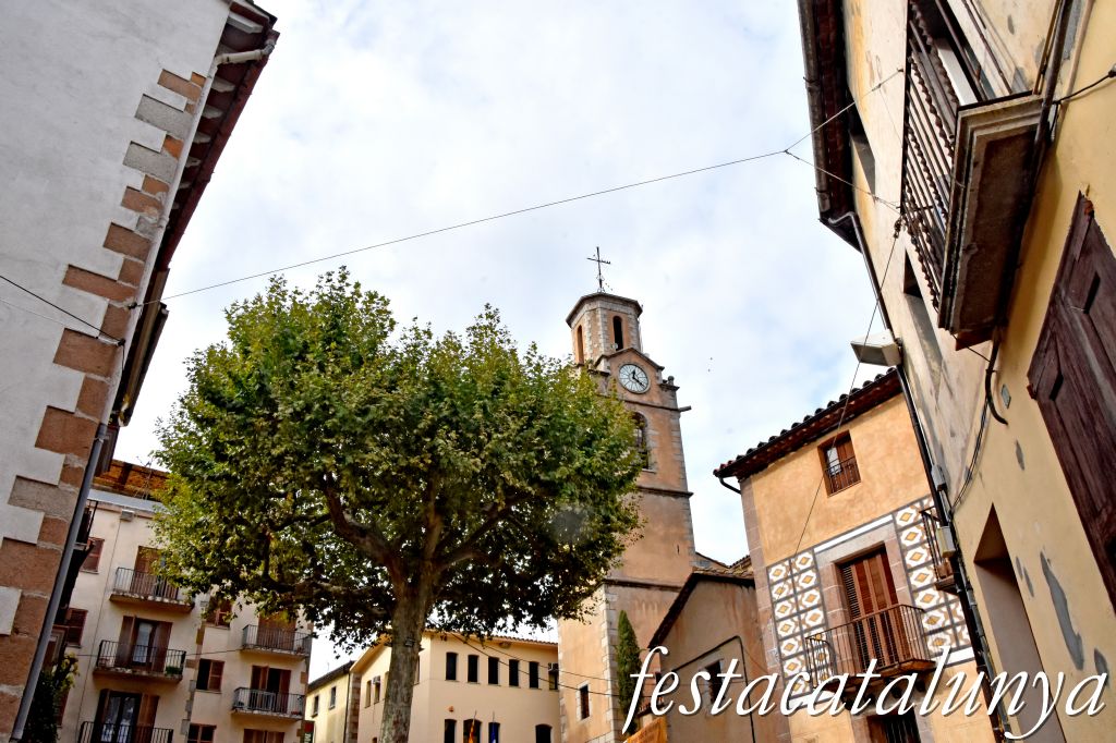 Arbúcies - Plaça de la Vila - Arbre Monumental