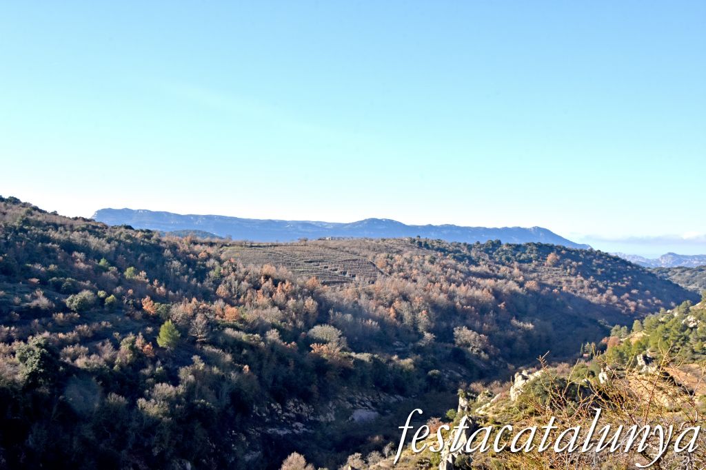 Vilanova de Prades - Vistes panoràmiques des del castell - El Montsant
