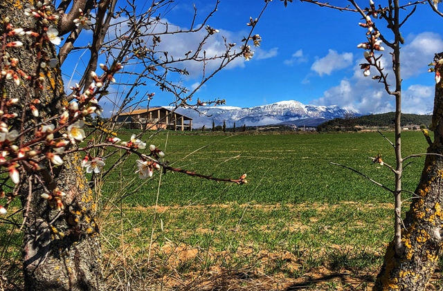 Rutes a peu i en BTT a Solsona
