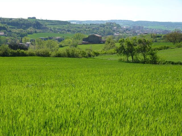 Rutes a peu i en BTT a Solsona