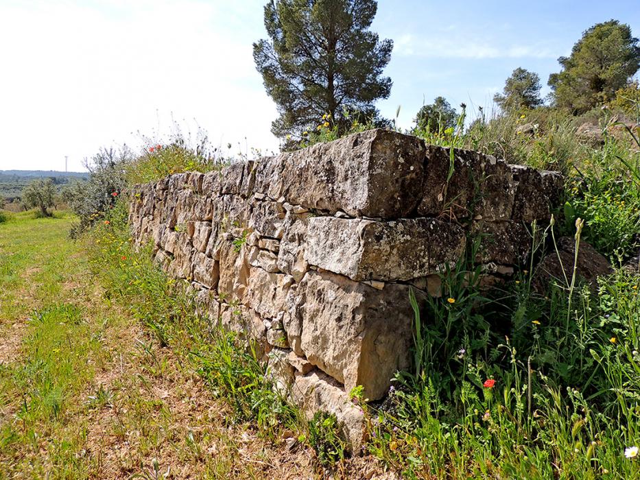 Rutes guiades a la Pedra Seca de Torrebesses ***