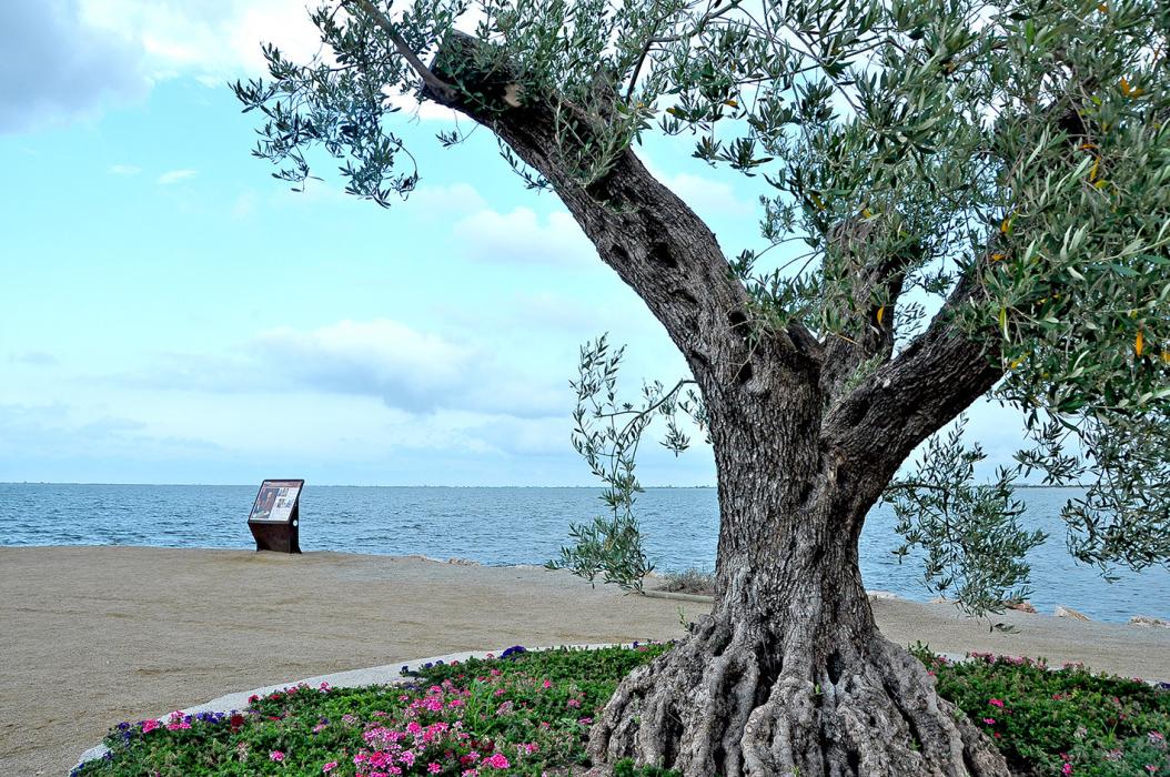 Àrea interpretativa l'Ampolla i el Delta