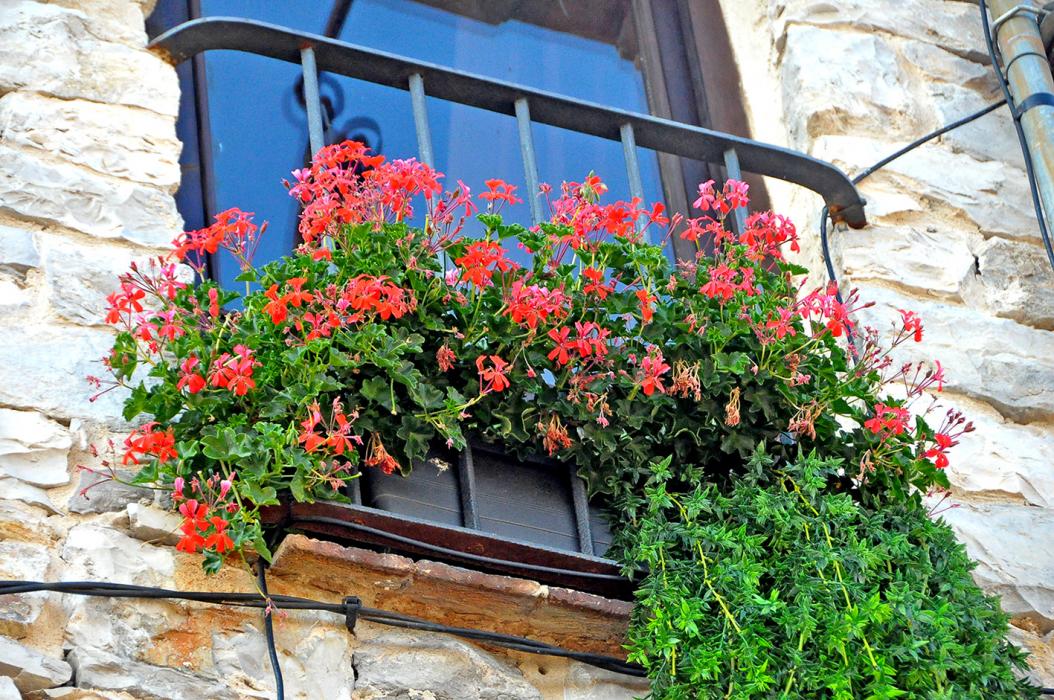 Nucli antic de Segura