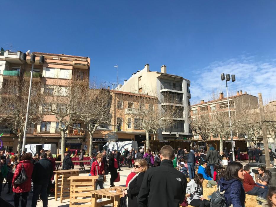 Fira del Trumfo i la Tòfona a Solsona