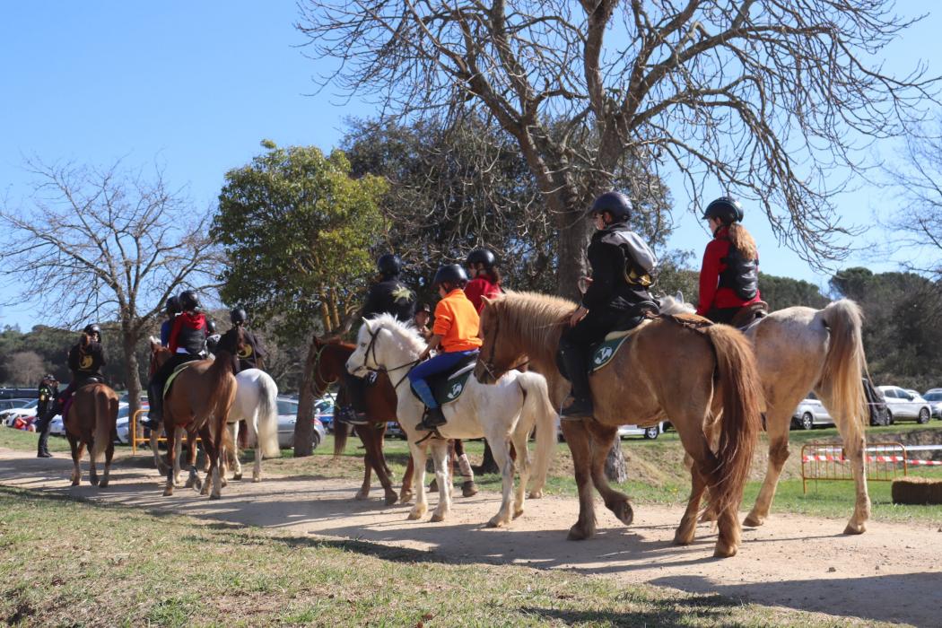 Fira de la Terra de Caldes de Malavella
